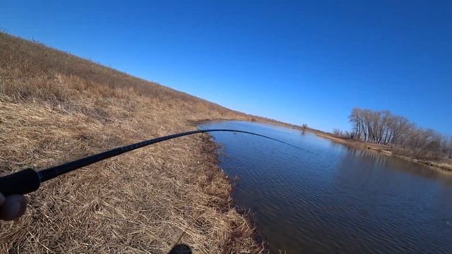 Поставил ЭТУ приманку и начал КОСИТЬ щуку! Рыбалка в Астрахани весной! Астрахань 2021! смотреть онлайн