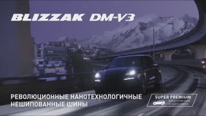 BridgeStone Blizzak DM V3