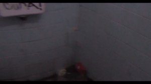 Однажды в Детском Парке города Симферополь...