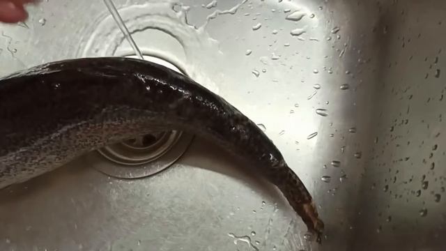 ВОТ ТАКАЯ БАРДАШНАЯ ЖЕНЩИНА!!! \\пенсионеры в России\\. смотреть онлайн