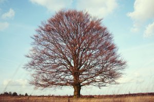 4Д Четыре девочки. Загадки с подвохом. Часть 8