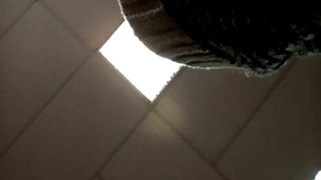 Действующий Военник СССР и Справка о составе семьи. смотреть онлайн