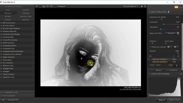 La suite Nik Collection Chapitre 6 Partie 3 Color Efex Pro 4 смотреть онлайн