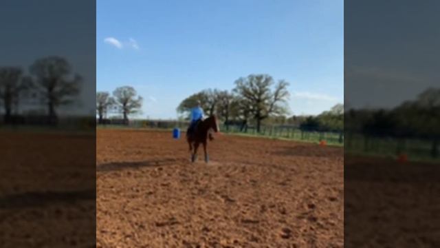 Gun down the fiesta 8yo ruby buckle all around gelding смотреть онлайн