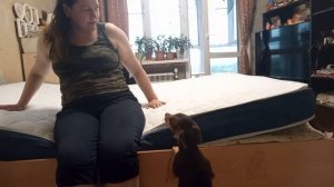 матрас с озон