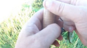 Микробомбарда-ловля красноперки