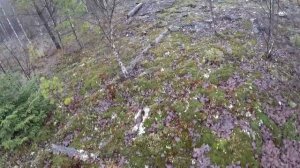 #Коп#Металла. Гарет 400i. Тест. Мой новый Металлоискатель. Магазин у "Деда Мити"