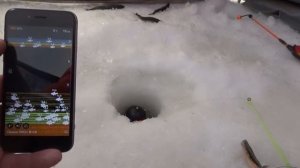 Андрей. Эхолот Deeper Smart Sonar pro, Wi-Fi