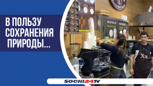 Откажутся ли сочинцы от бумажных стаканов?