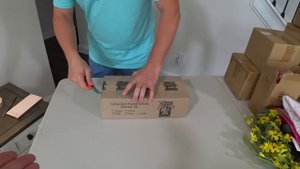 Открываем потерянные посылки по $1, не знаем что внутри/ Распаковка самых дешевых посылок в США Вло