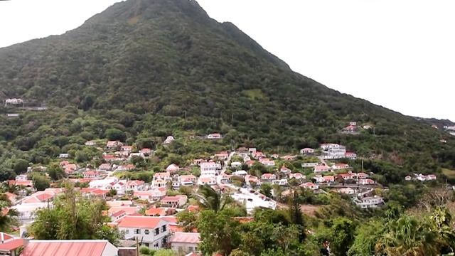 Your Guide To: Saba