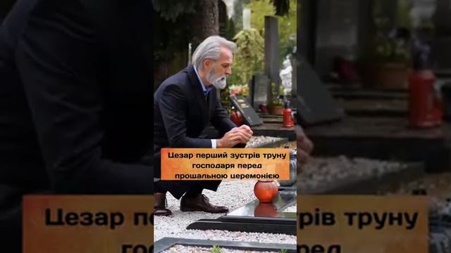 Ця собака прийшла на похорон до свого господаря  а те що відбулося потім.... смотреть онлайн