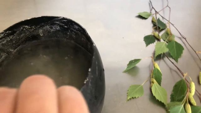 Imprints of Plants/Plaster/Tutorial/Birch/ Отпечатки растений/ Гипс/Мастер-класс/ БЕРЁЗКА