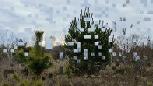 Люди с этой группой крови живут дольше всех и долго не стареют...