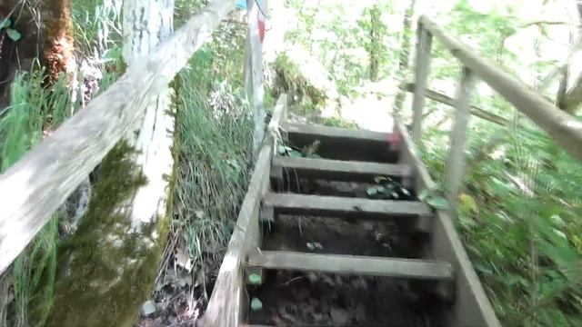 БЕРЕНДЕЕВО ЦАРСТВО: МУЗЫКА ПРИРОДЫ / BERENDEYEVO KINGDOM: MUSIC OF NATURE смотреть онлайн