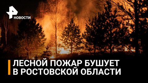 Более 60 человек эвакуированы из ростовской станицы из-за пожара / РЕН Новости