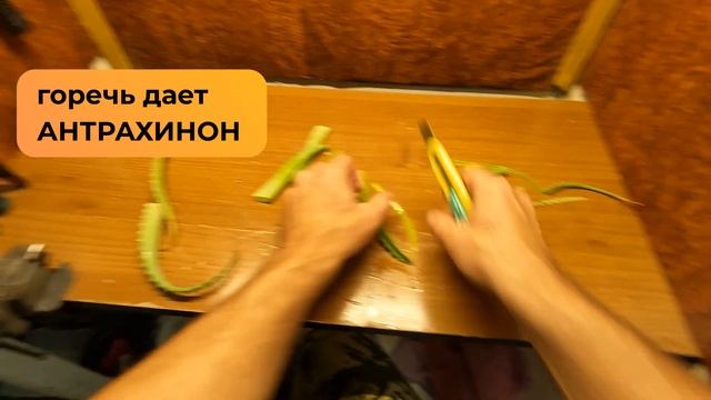 Из алоэ и тысячелистника смотреть онлайн