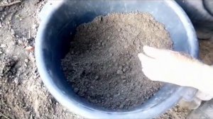 Черенкование ГОРТЕНЗИИ с 100% результатом.Размножаем - ЛЕГКО!