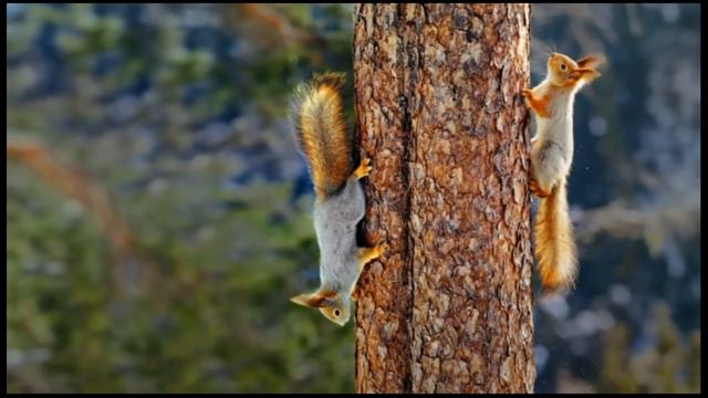 МИСТИК ОПРАВДЫВАЕТСЯ. Зачем вампиру вампирить? смотреть онлайн