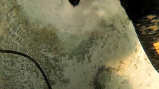 ОЗЕРО МЕЧТА/Поиск золота с системой хука/Underwater Metaldetecting / Hookah System