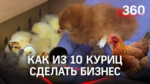 Российские фермеры смогут покупать птиц у своего производителя