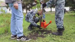 Аллею «Ангелы Донбасса» заложили в Кемеровской области