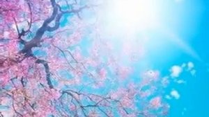 "Земля моя добрая". Поёт Л.Г. Зыкина.