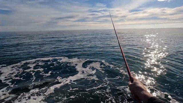 ПОГОДА ОГОНЬ. Но Рыбы Нет Морская Рыбалка. КУДА ПРОПАЛ Сарган?