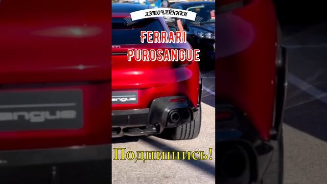 Обзор Ferrari Purosangue