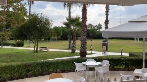 Bellis Deluxe или не Deluxe, вот в чем вопрос. Достойно ль...???