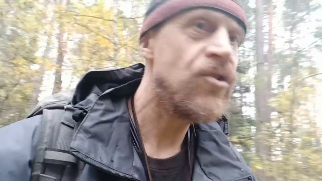 В Лесу, Папулино смотреть онлайн