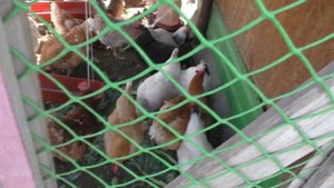 Отвечаю на вопросы