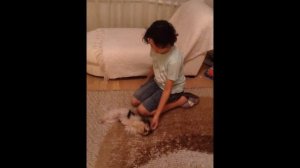 дрессировка собак бивер йорк.команда "умри и кувырк". последний выпуск 1-го сезона