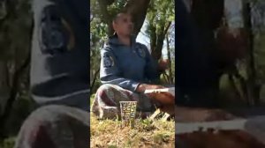 Секреты концентрации и устойчивости ума! Как успокоить ум и сосредоточиться. Йога Сутры Патанджали