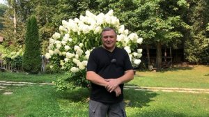 О важности выбора легавой собаки