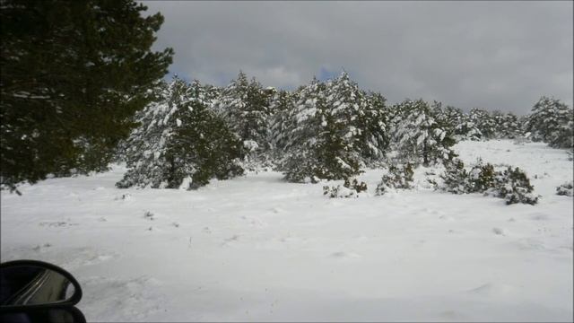 salida 30.01.11 2011 смотреть онлайн