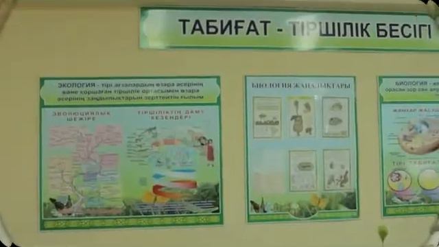 23 ноября 2020 г. смотреть онлайн