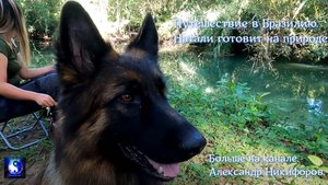 Путешествие в Бразилию. Натали готовит на природе.