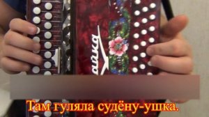 Учим песню Озёрушко на гармони || Разбор на гармони || Соль мажор
