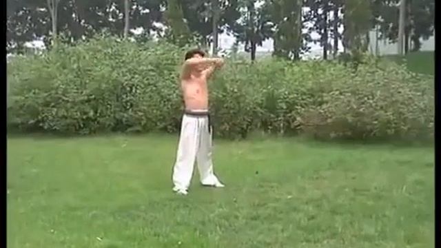 沧州武术.Боевые искусства пров.Цанчжоу.Тунби пигуа,Бацзы,Ча цюань,Чоцзяо,Фаньцзы.