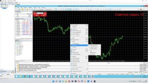 Как установить несколько терминалов MetaTrader на одном компьютере