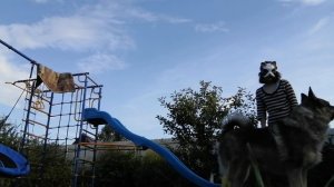 тутор по прыжку в квадробике