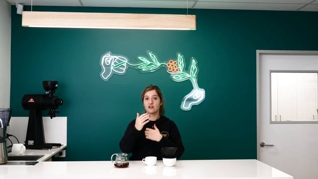 Q & A with Project Origin | 15 Questions about Supernaturals смотреть онлайн