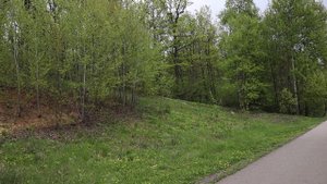 Парк Маршалково. Город Строитель Белгородская область.