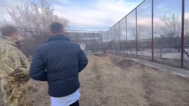 Доктор Василий приехал к Херсонской волчице. Будет ли волчица ЖИТЬ?