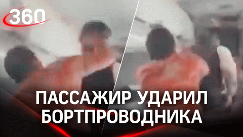 Видео: пассажир ударил бортпроводника кулаком в затылок