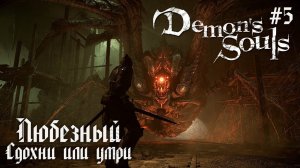 Demon’s Souls | Сдохни или умри с Любезным | #5