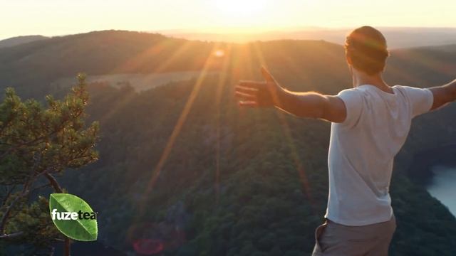 Новый Fuzetea со вкусом манго и ромашки — попробуйте и вы! смотреть онлайн