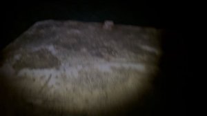 Морская рыбалка ( Sea fishing) ставрида поклевывает ,  огромная добыча  поймана 👍🏻