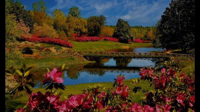 Beautiful Spring Images with soft relaxing Music смотреть онлайн